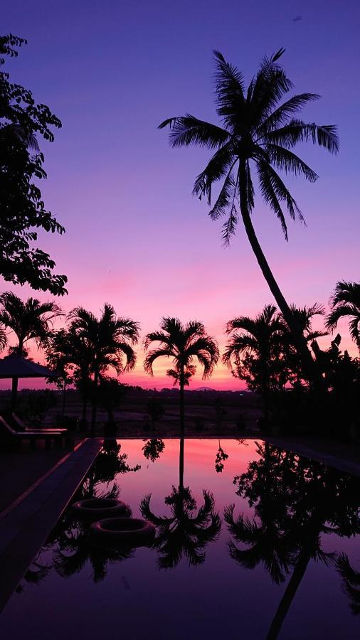 Hoi An Four Seasons Villa 외부 사진